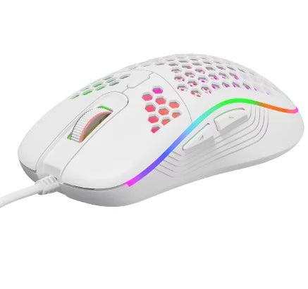 RGB light weight mouse
